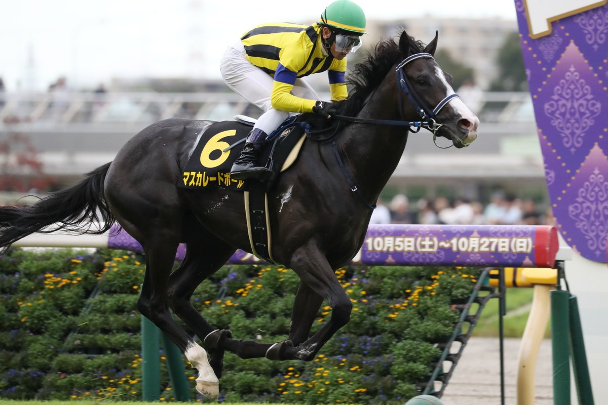 アイビーステークス は #マスカレードボール が内から鋭く伸びると