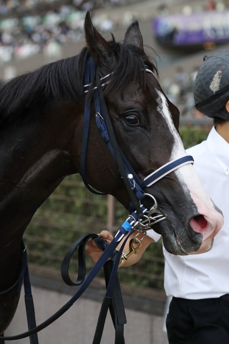 アイビーステークス は #マスカレードボール が内から鋭く伸びると
