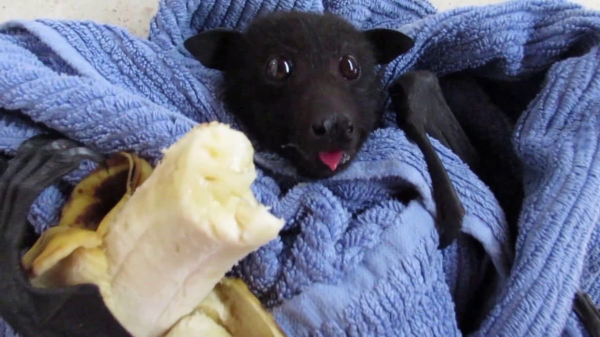 nichtdeinbrodie's tweet photo. falls es euch interessiert wie mein mann aussieht 🥰🥰 https://t.co/W1aXvYbxFn