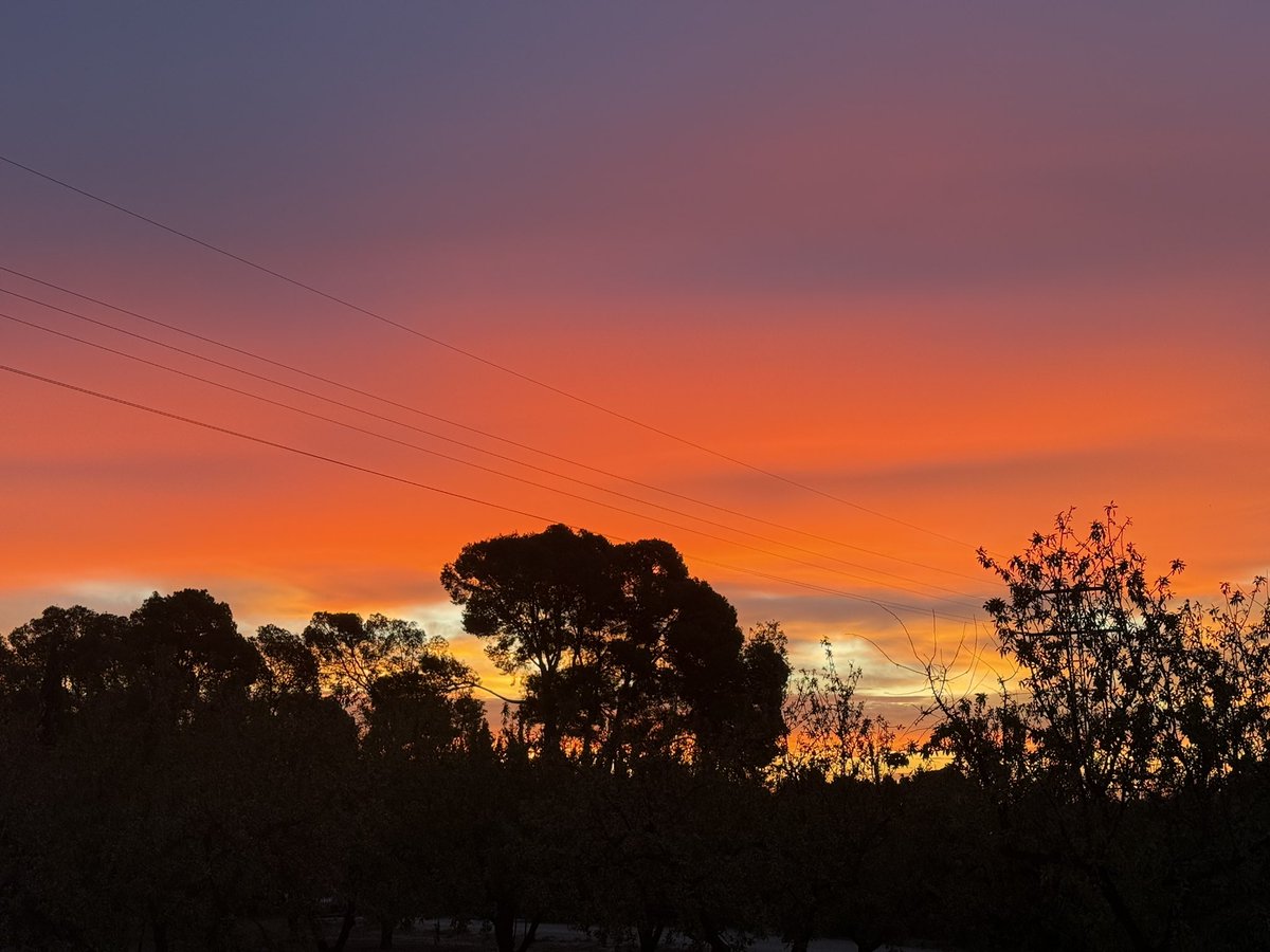 Jose Roque López tweet media