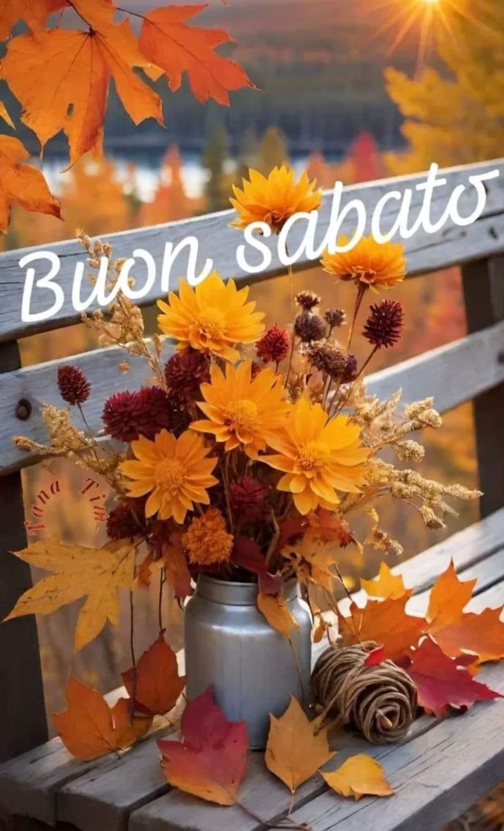 RITABIANCHi56 tweet media