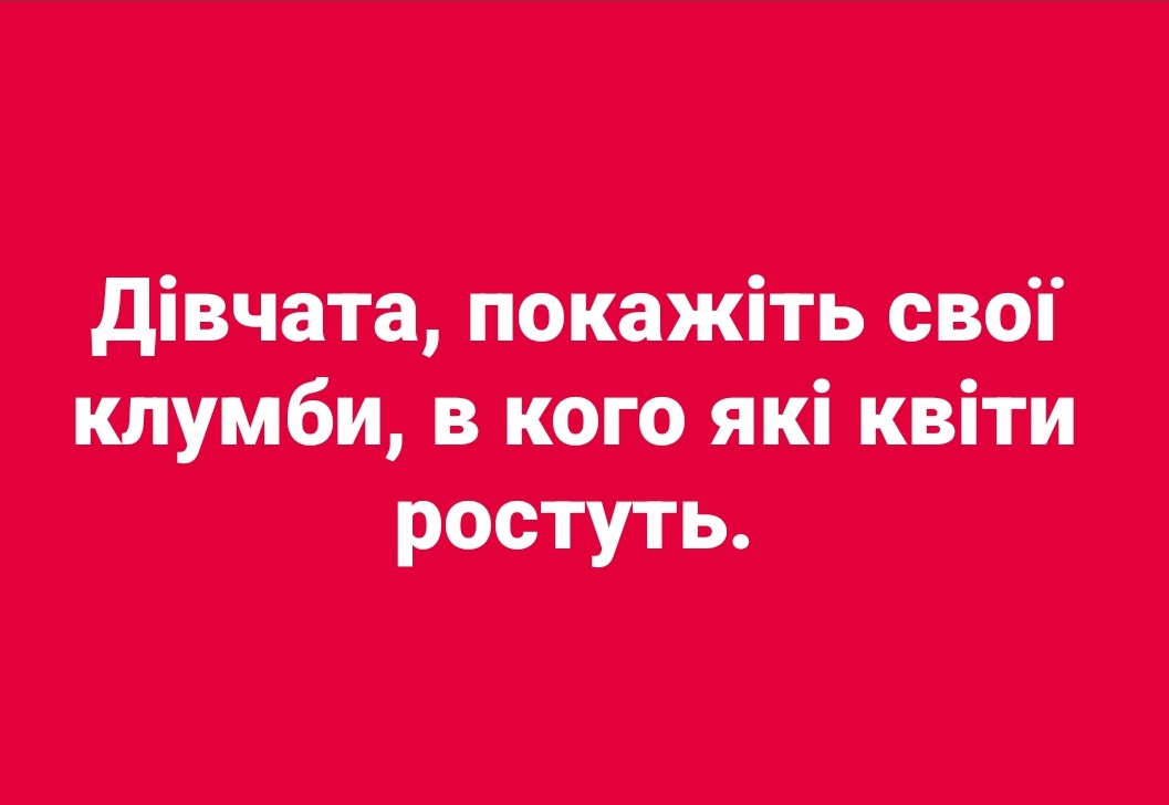А ти вже показала свою клумбу?