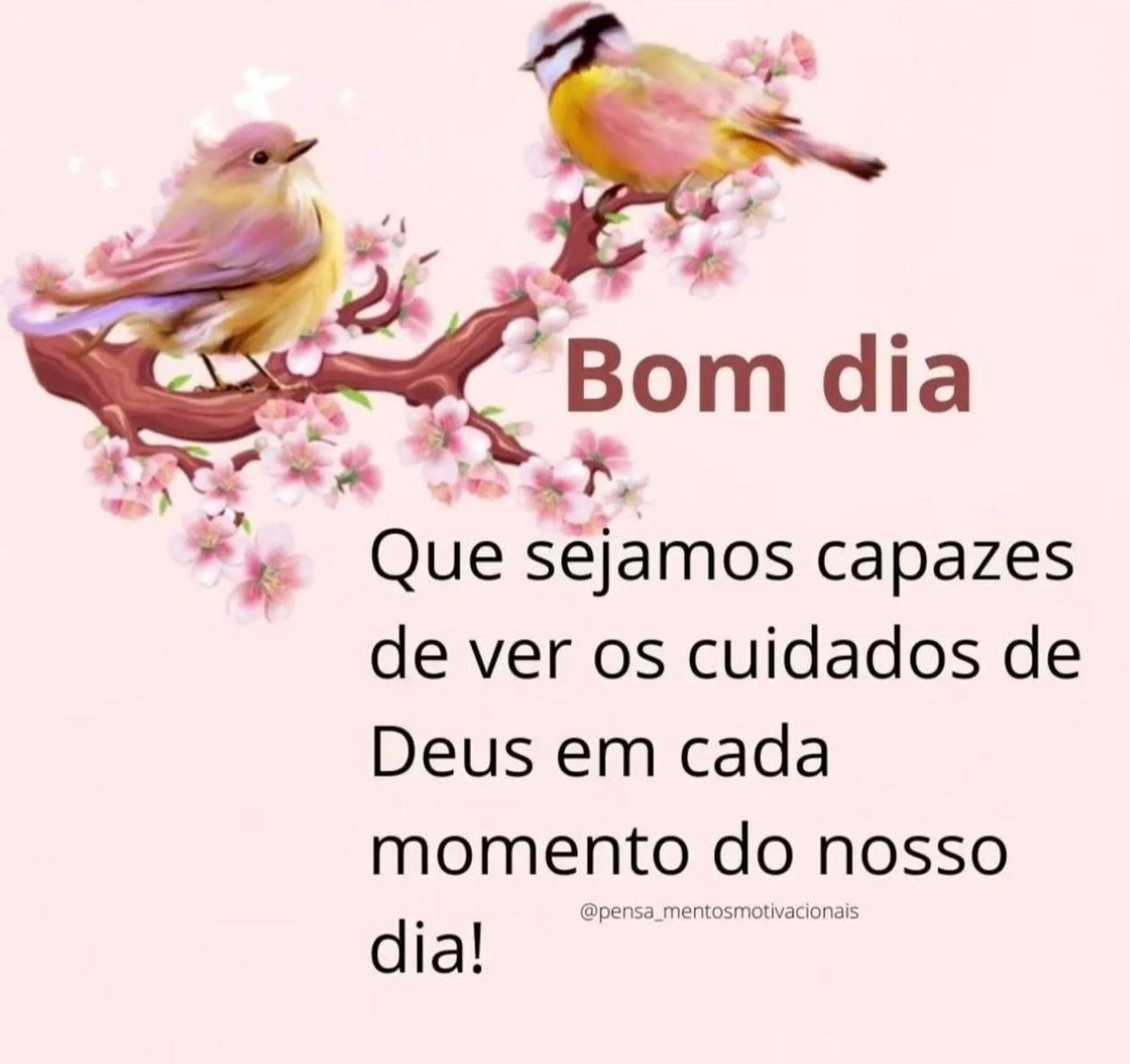 castro_arruda's tweet photo. ✨️🙏 https://t.co/3Ne7dVovek