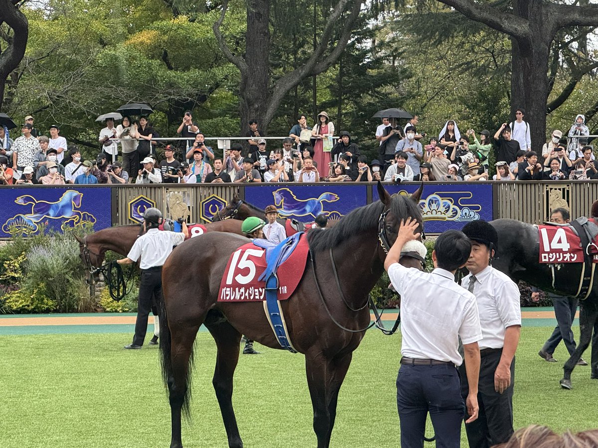 パラレルヴィジョン応援に来ました。
スタート決めて前目につければチャンスあるはず！
口取りしたいから頑張ってね👍