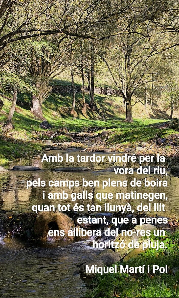 Muntsamar's tweet photo. Bon dissabte tingueu!!!🍂
#Llanars
#ValldeCamprodon
#miquelmartíipol
📸 @Muntsamar https://t.co/1OpIKYyA5k