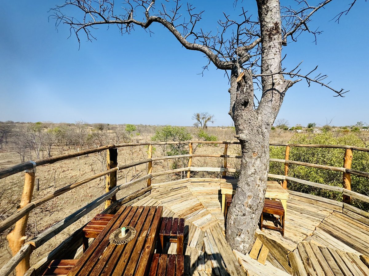 Fresh and Ready for the debut 😂😎 Thank you for appreciating my art🙏🏿❤️. #KwaTerry