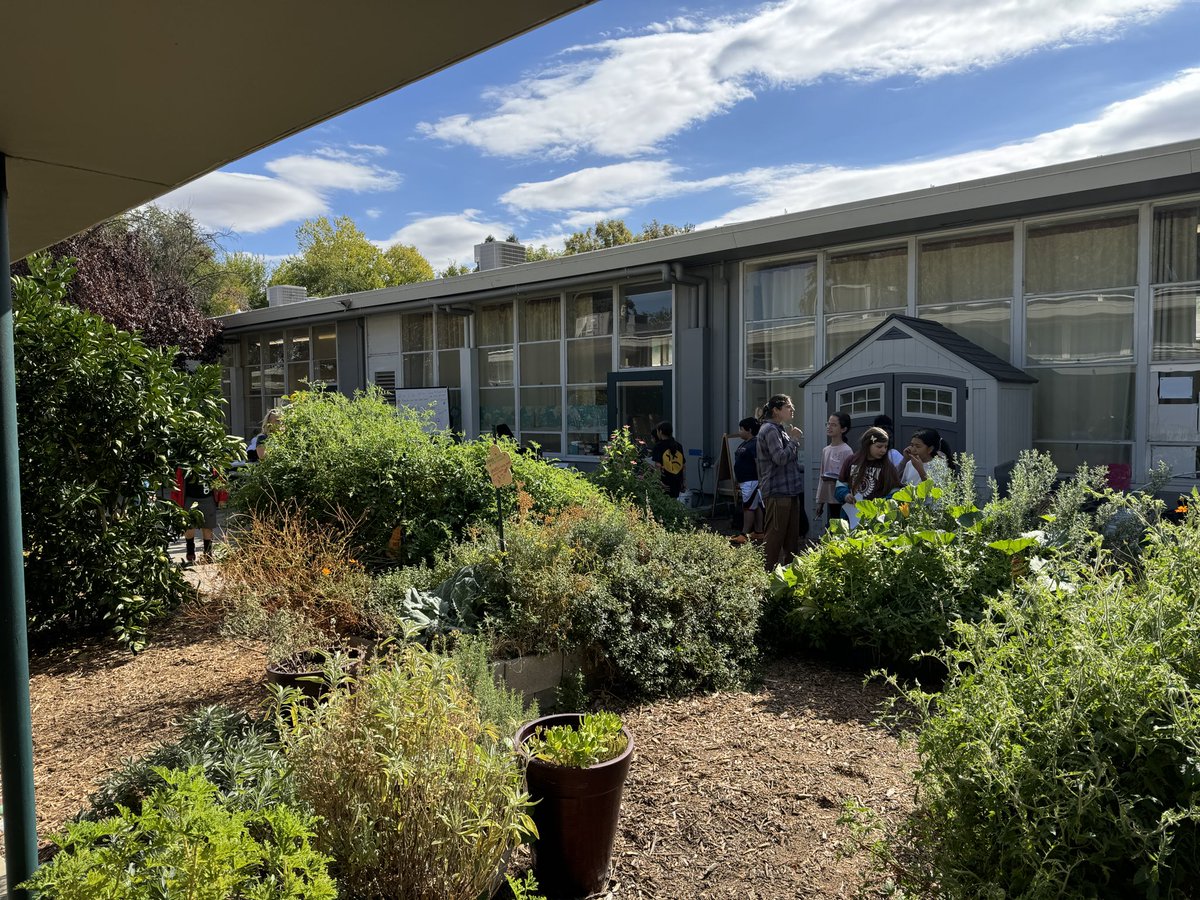 Amy Monaghan tweet media