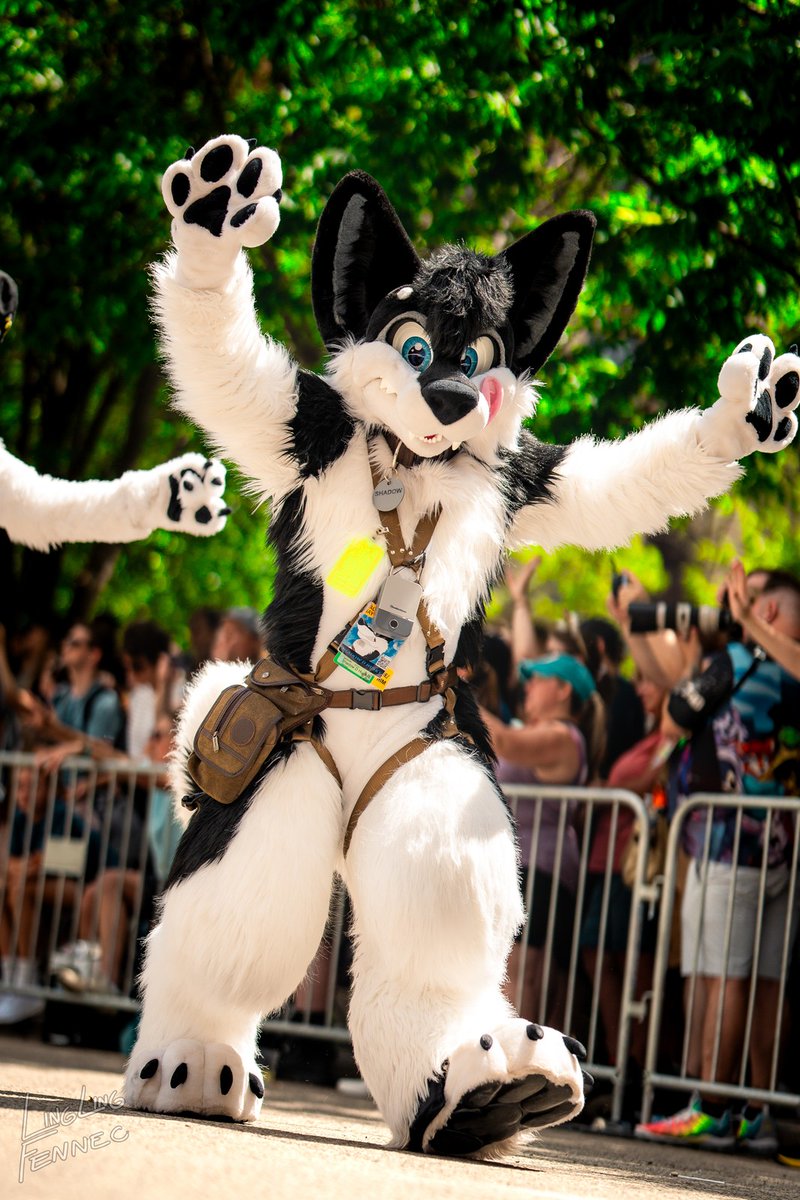 RockySheperd🔜FurryDelphia2026 tweet media