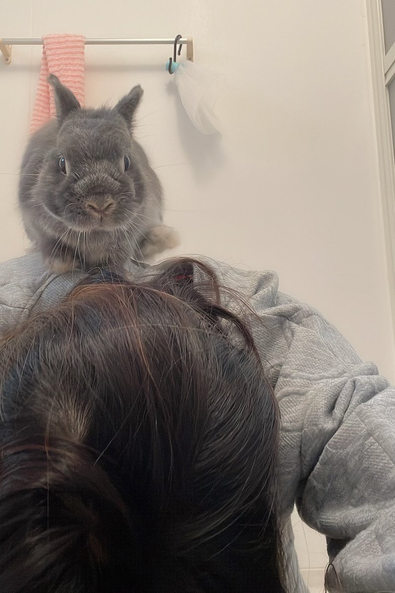 爪切りするためにお風呂場に連れ込んだ🛁
嫌過ぎて背中に逃げられて捕まえられない🐰