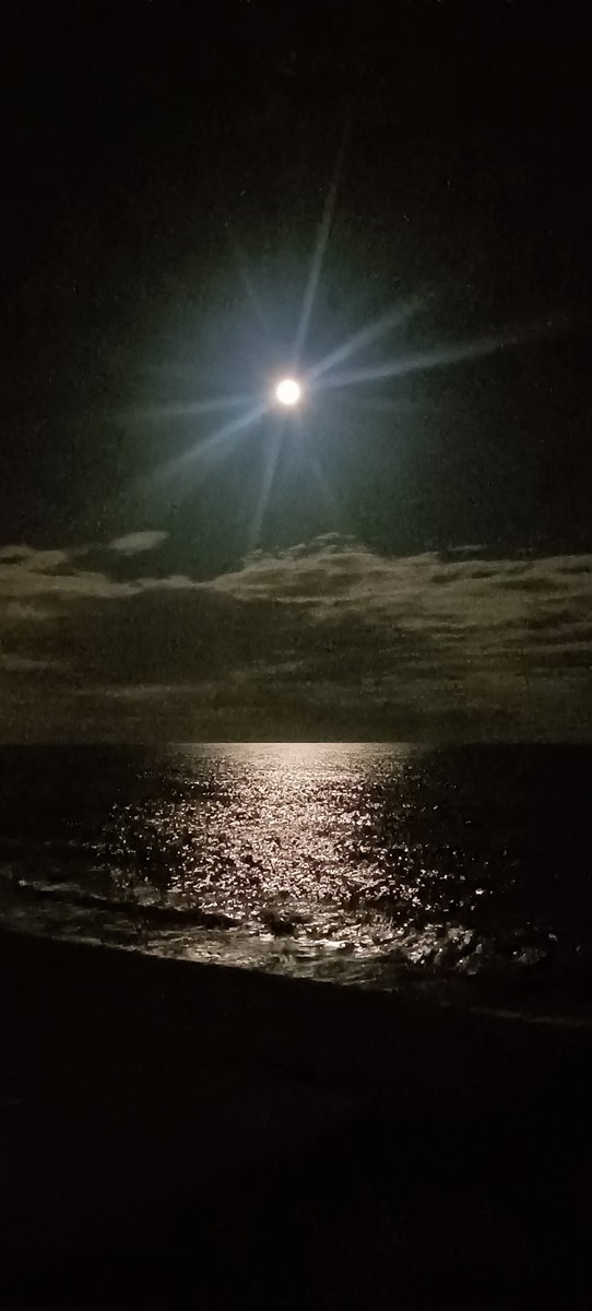 Ester Albert (@ester40and) on Twitter photo 