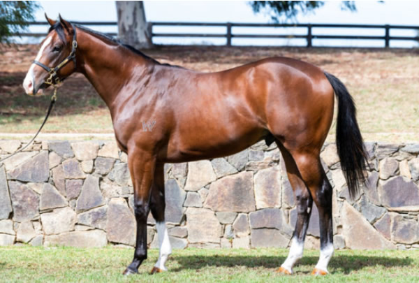 200k Inglis Easter purchase from Twin Hills, Snitzel colt Lofty Arch wins Listed Gothic at his third start breednet.com.au/news/33706/lof… <a href="/inglis_sales/">Inglis</a> <a href="/TwinHillsStud/">Twin Hills Stud</a> <a href="/AlexRaeRacing/">Alex Rae Racing</a> <a href="/ArrowfieldStud/">Arrowfield Stud</a>