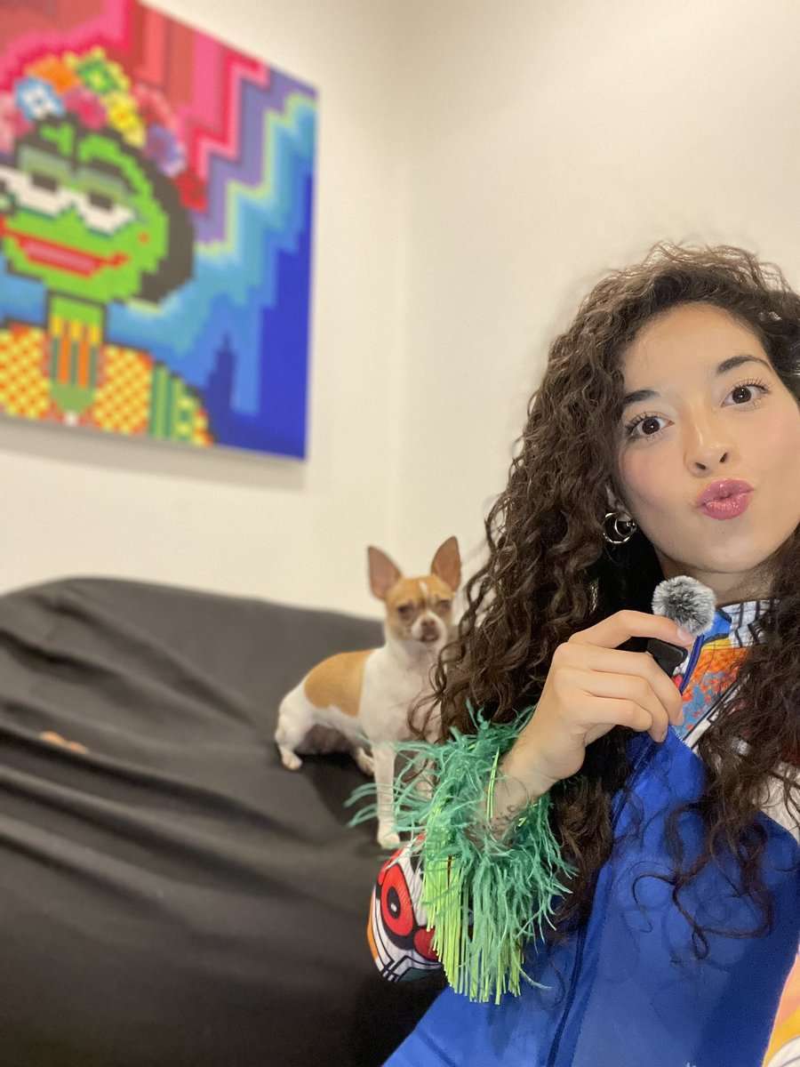 ByLuaambriz's tweet photo. π HIII! We are creating for you! πΈππ«Άπ»β¨ MY LITTLE ASSISTANT ππΆ
#cryptomexa #pixelart #pepe #bitcoin #stamps https://t.co/WBPQRl9wZy