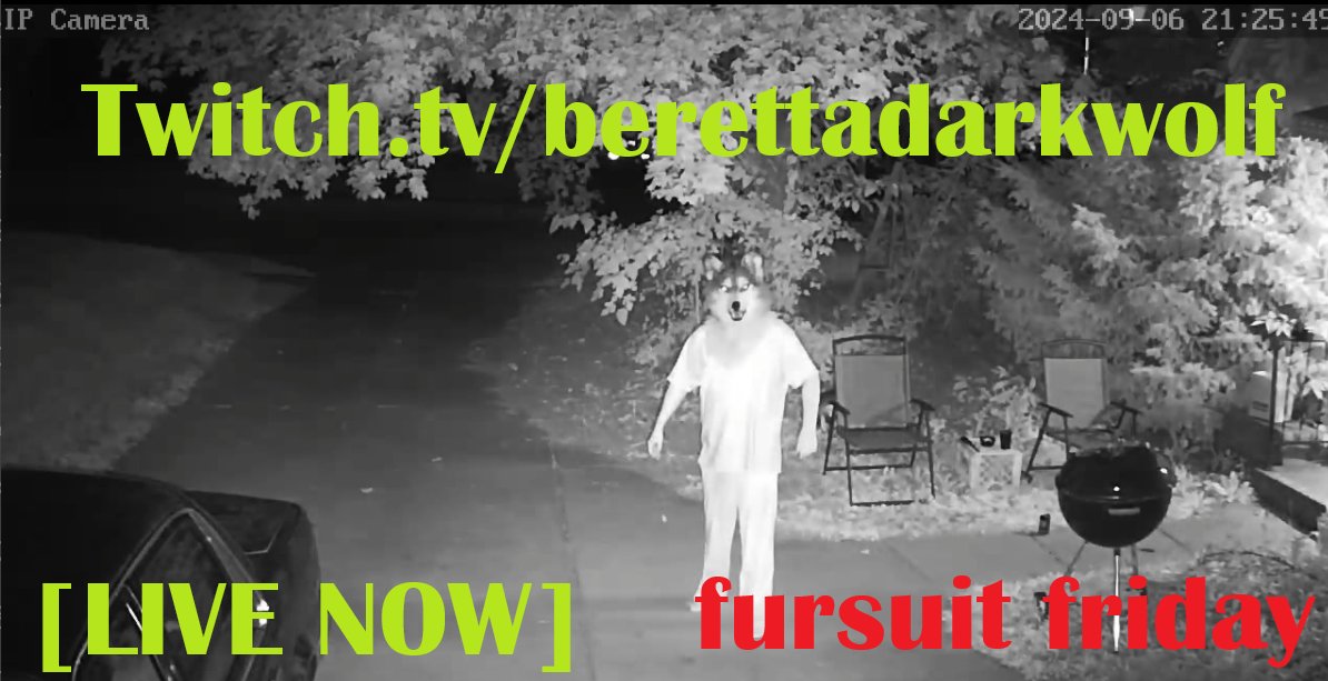 BerettaDarkwolf's tweet image. Werewolfin CS2 Tonight (LIVE NOW) 10:30pm - 2am. ttv/berettadarkwolf #FursuitFriday #Werewolf #clockworkcreature