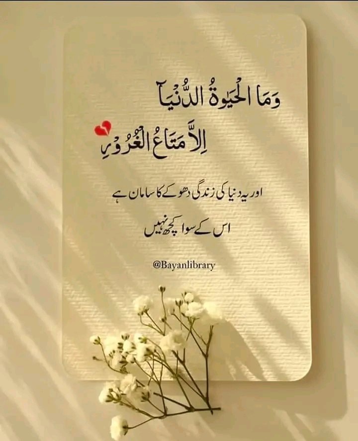 🌹عاصـــــــــــم خـــــــــــان🌹 tweet media