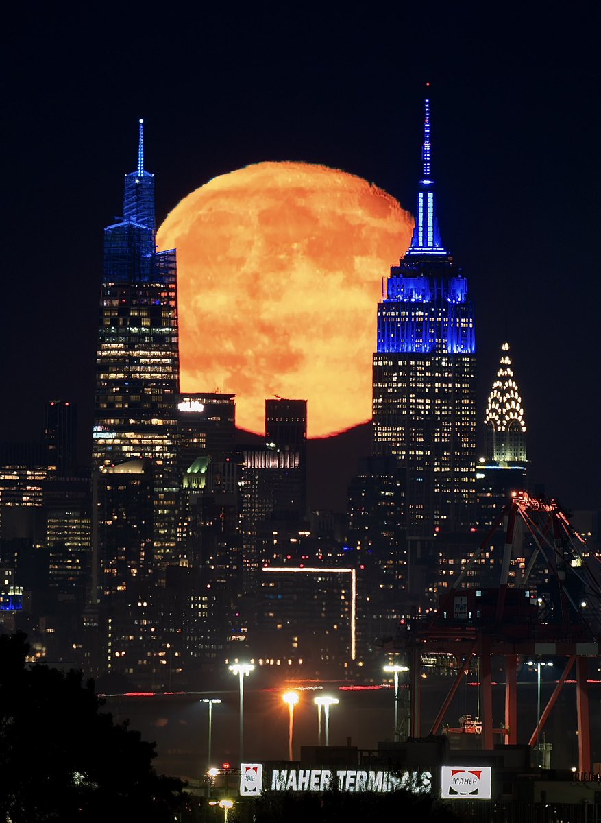 Dan Martland tweet media