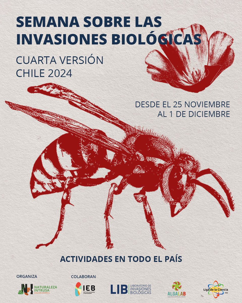 Naturaleza Intrusa (@nat_intrusa) on Twitter photo ¡Nos emociona anunciar la 4ta versión de la Semana sobre las Invasiones Biológicas!
🌿 Junto con diversas organizaciones estamos preparando una variedad de actividades.
#EspeciesExoticasInvasoras ¡Nos emociona anunciar la 4ta versión de la Semana sobre las Invasiones Biológicas!
🌿 Junto con diversas organizaciones estamos preparando una variedad de actividades.
#EspeciesExoticasInvasoras