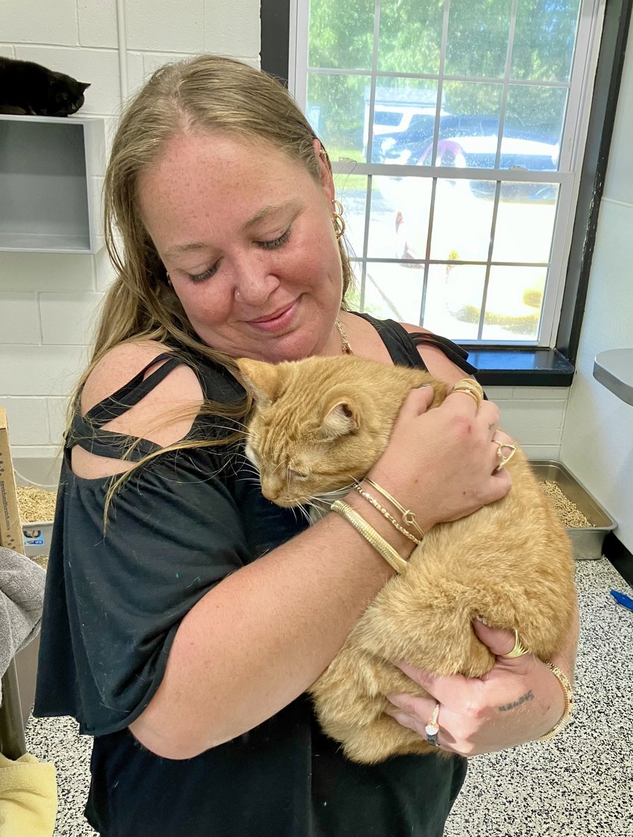 Sweet JENNA got ADOPTED !!! 😍😍😍

TYSM Mom &amp; <a href="/BrandywineSPCA/">Brandywine Valley SPCA</a> 

bvspca.org

Visit your local animal shelter today &amp; #AdoptDontShop 

Follow these rescue advocates to help get more pets adopted:

Twitter / X / Rescue Network  ⬇️⬇️⬇️ <a href="/MaxyT76/">Miss Tee-M</a>

<a href="/TaniaHop3/">Tania H.-A Voice for the Voiceless</a>