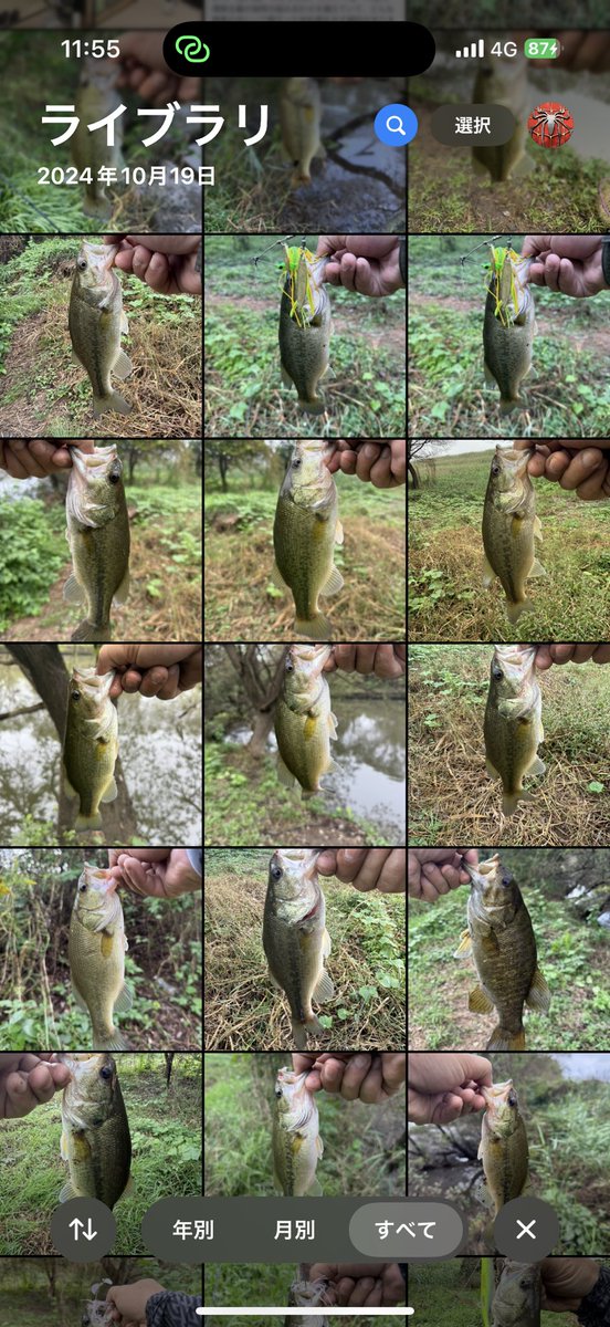 Dicek38U's tweet image. 7時から11時までホームの川へ。25匹で40くらいのシーバスとスモールも混じって良い感じでした！今年はトップの反応がイマイチだったんだけど今日はバズ祭り！ボルケーノのフィンが折れました😂シーバスはオートリリース🐟
#バス釣り #シーバス #ボルケーノ