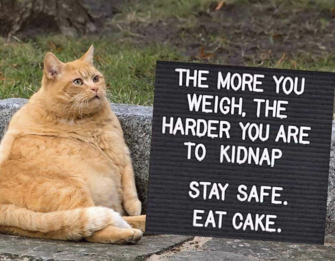 GaOLpIUbUAEBw8F?format=jpg&name=medium