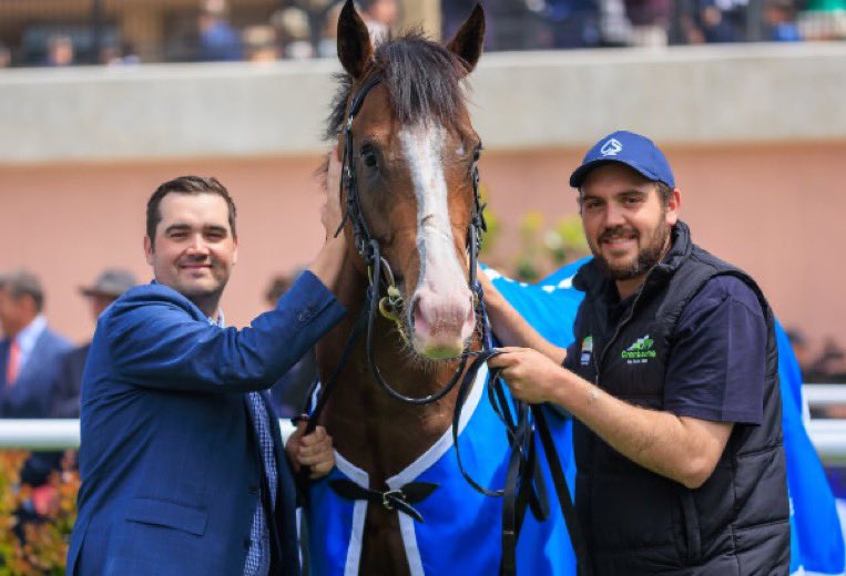 Twin Hills Stud tweet media
