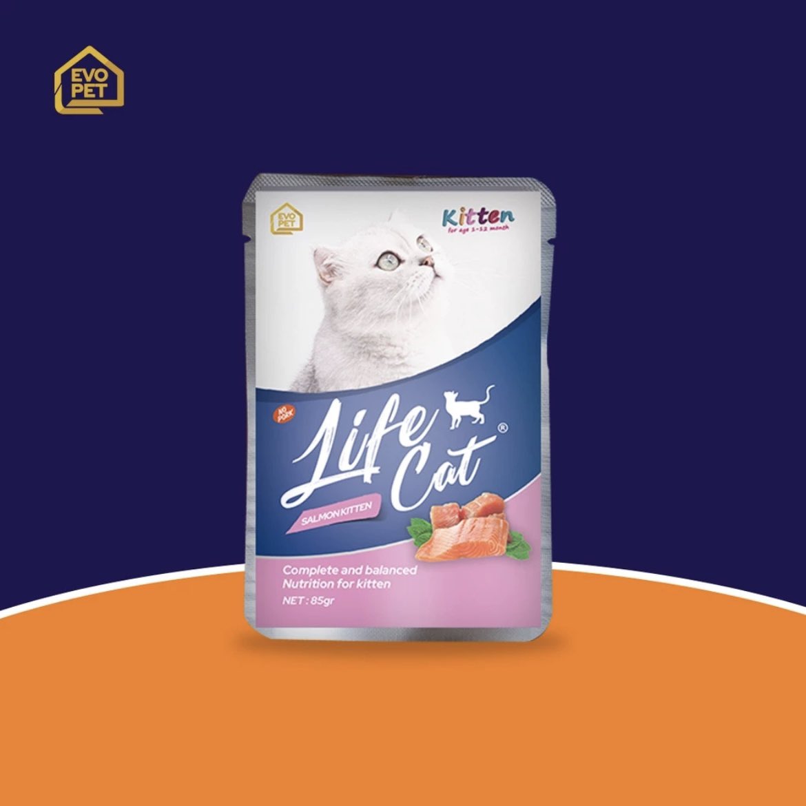 Lifecat | Biocat | Oricat tweet media