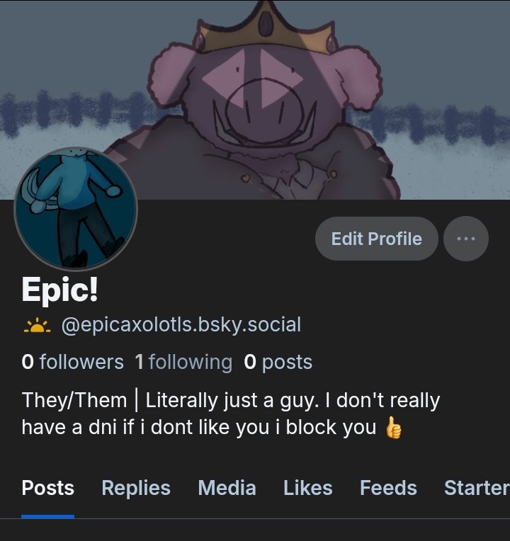 EpicAxolotls tweet media