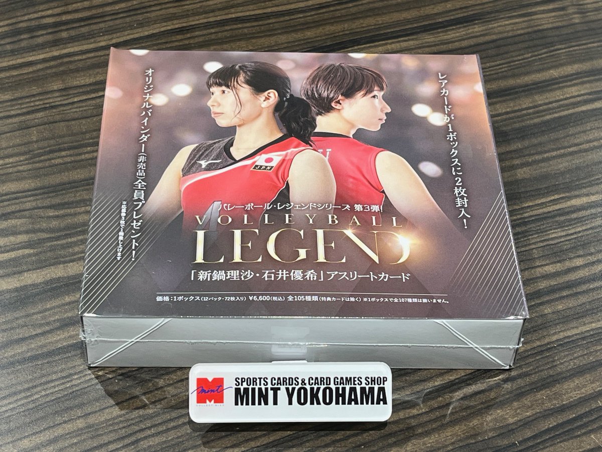 バレーボール・レジェンドシリーズ 新鍋理沙 VOLLEYBALL LEGEND