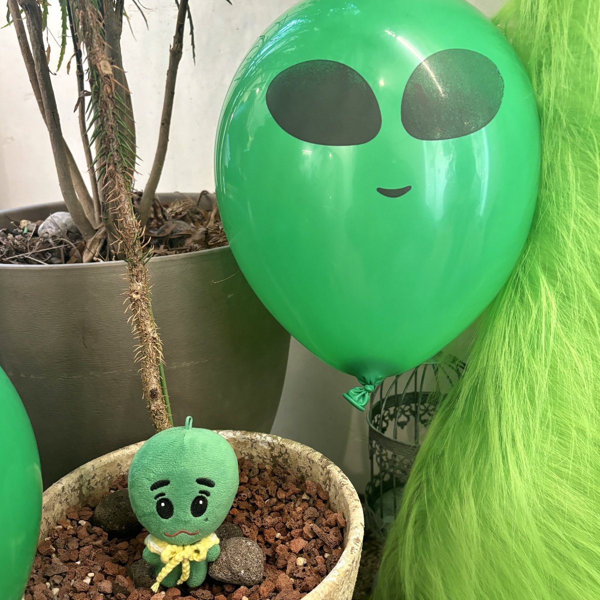 oeghani's tweet photo. 💚🏠👽왹져넥스트도어👽🏠💚

#삐삐삐_외계인의_흔적_탐_색_완_료_삐삐zzz   
#이한   #LEEHAN   
#BOYNEXTDOOR   #보이넥스트도어 https://t.co/mqoifRVLEC