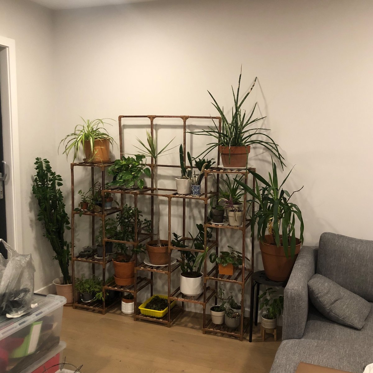 Yooree Losordo 김유리 tweet media