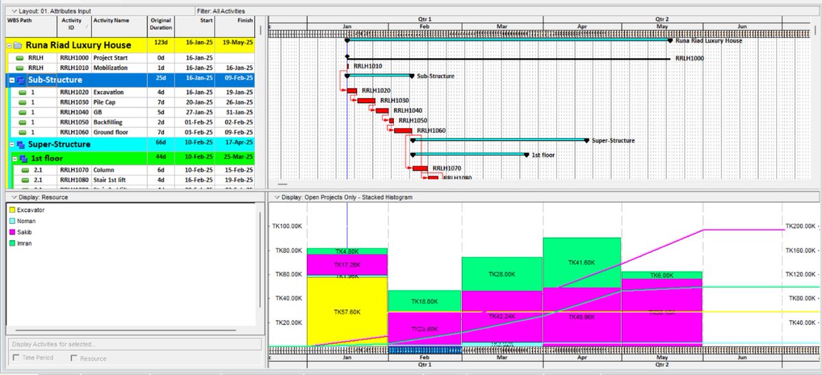 A completed project with Planning,  Resources allocation, Stacked Histogram, budget cost &amp; unit, activity profile usage,  resources profile usage, earn value.
What's apps +8801772367333