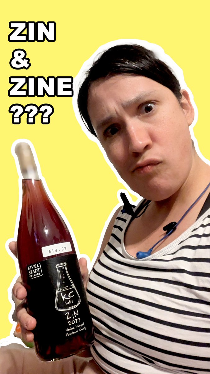 🍿🤸🏾‍♂️Zine Fest Houston🤡🎪 tweet media