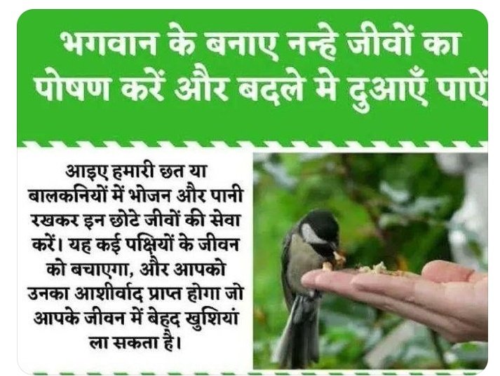 blessedsoul177's tweet photo. रंग बिरंगी पक्षी हमारे प्रकृति का सुंदर हिस्सा है पर्यावरण परिवर्तन के कारण इनकी संख्या घटती जा रही है ।Saint Dr MSG Insan ने Birds Nurturing  मुहिम के तहत घरों की  छतों व पेड़ों पर पानी की व्यवस्था करने का प्रण करवाया जिस की भूख प्यास से यह जीव न मरे #SaveLittleCreatures https://t.co/lSHP0vqU3h