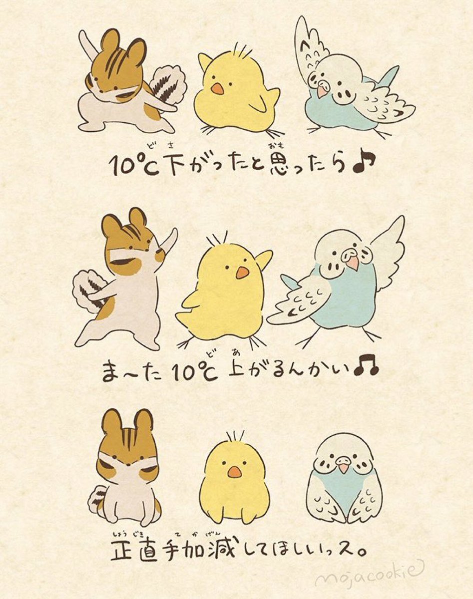 寒暖差・ダンサーズ 