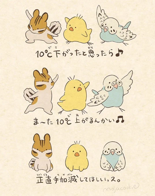 寒暖差・ダンサーズ 