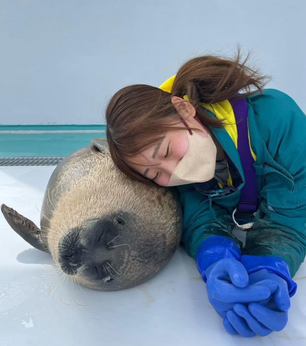 Jukeceptacon's tweet image. I wish I could hold a seal…😞