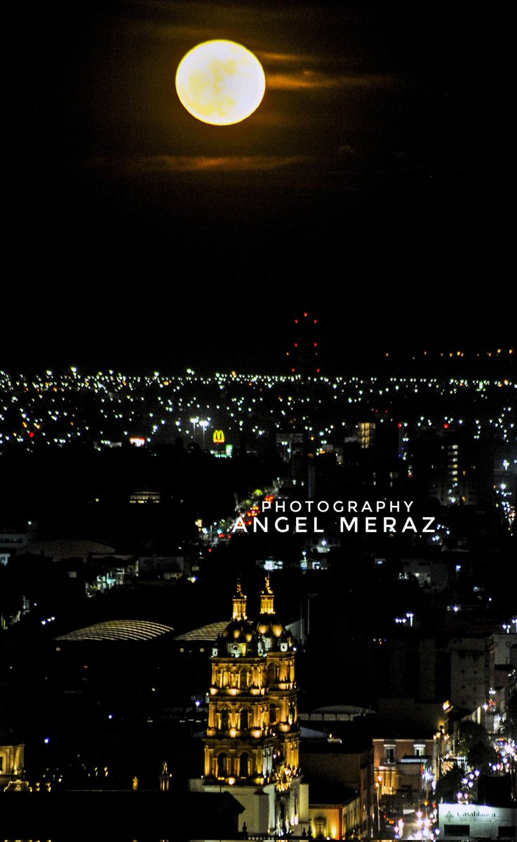 Alesandro del Piero tweet media