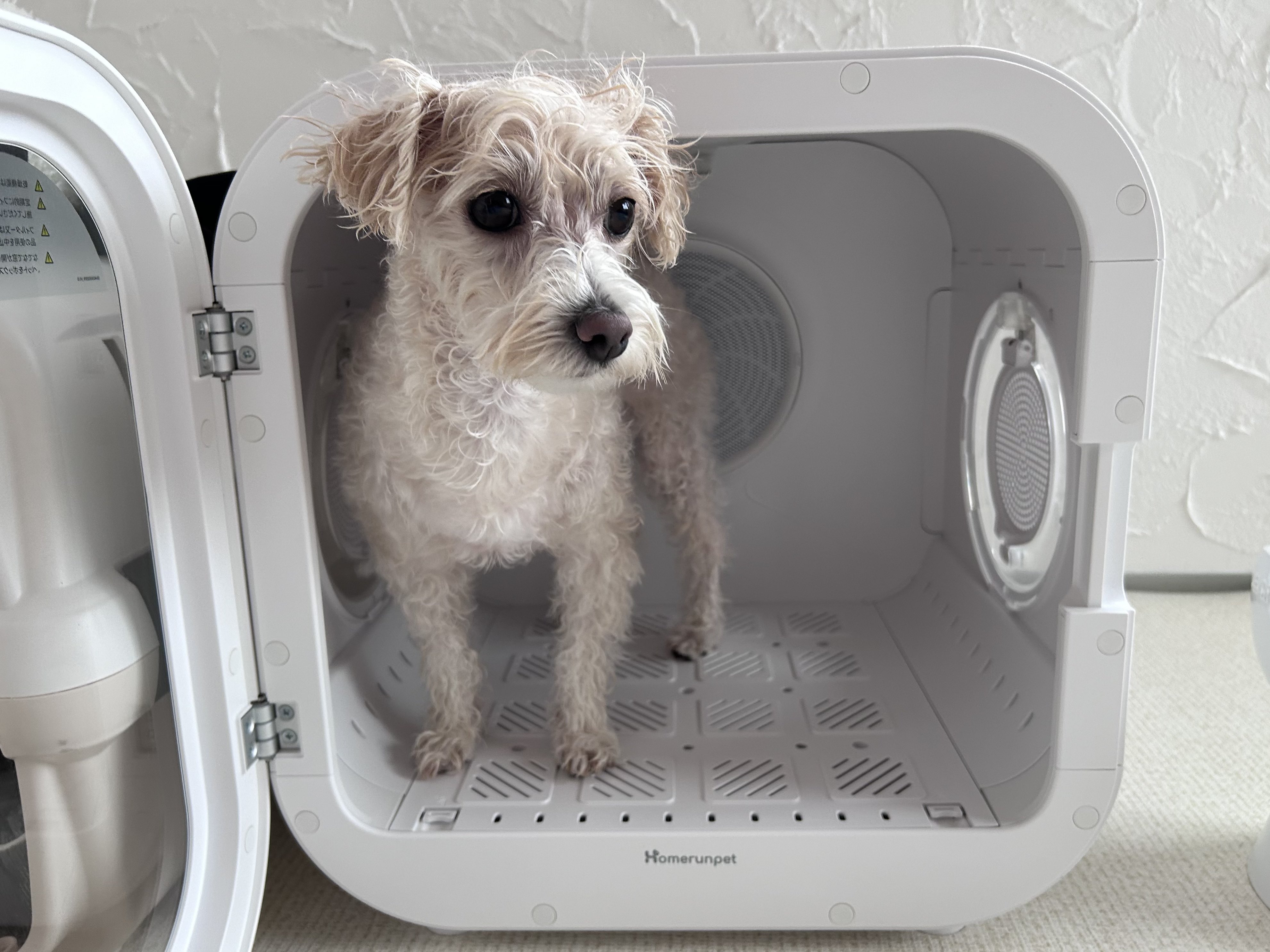 美品 Homerunpet ドライハウス Drybo Plus