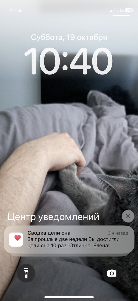 Lesnikel's tweet photo. Вот это настоящее достижение! https://t.co/Zg9ZK2nz3c