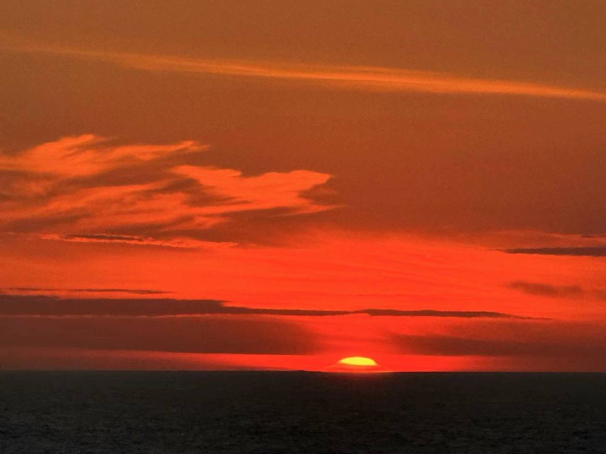 Elizabeth (@elizabeth35dd) on Twitter photo 