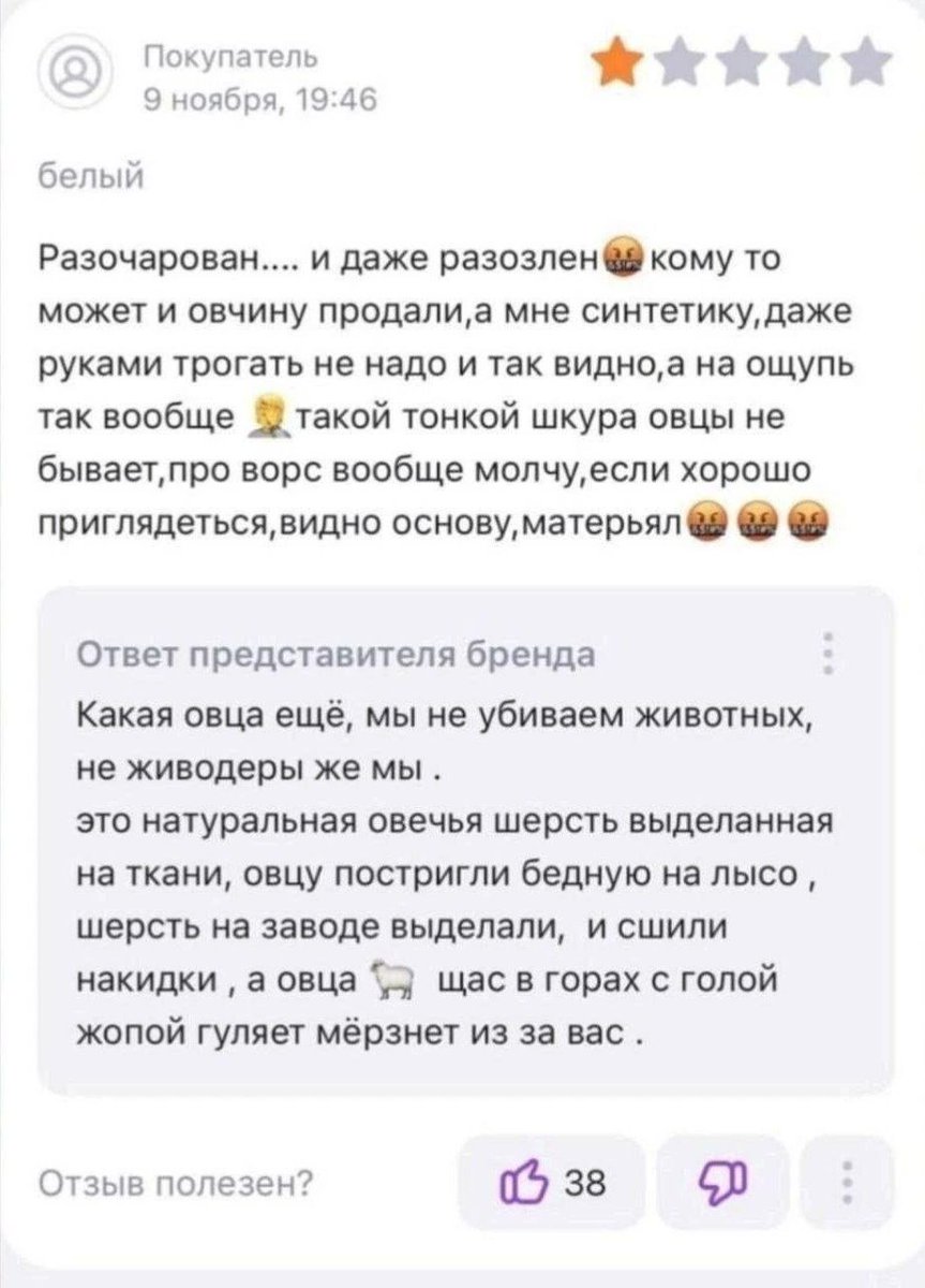 бимбо коза🇳🇴 tweet media
