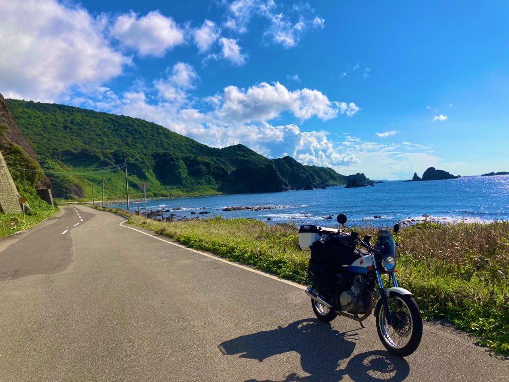 ぷりん tweet media