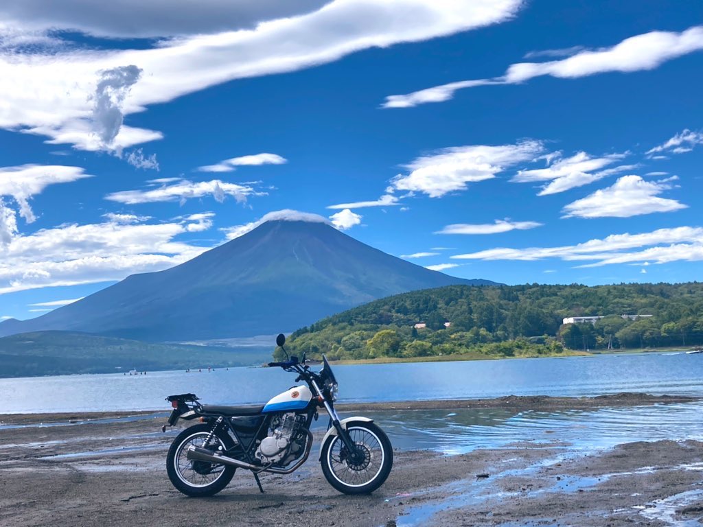 ぷりん tweet media