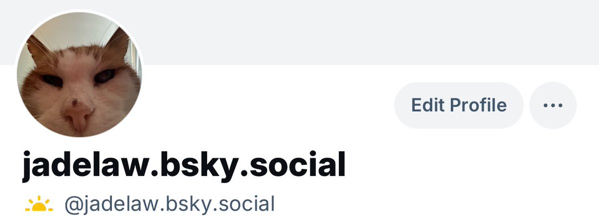 Jade Law tweet media