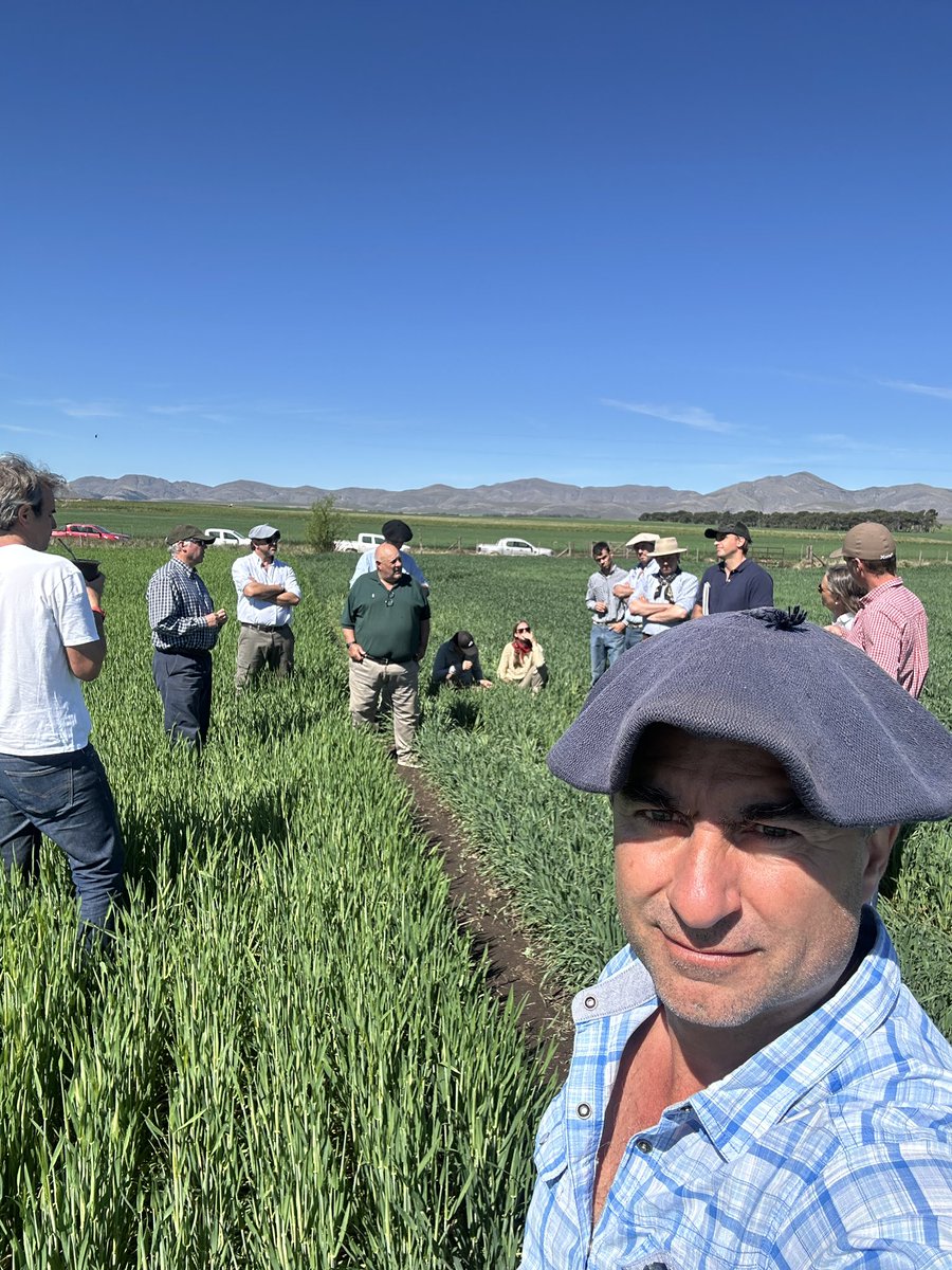 Fea la oficina de hoy. Reunión de planificación y estrategia ganadera con Serranías de Lolén SA. Un equipazo de trabajo, asesorados por <a href="/PedroPerego/">Pedro Perego</a>. Visita junto a <a href="/Felipepereyra/">Felipe Pereyra</a>