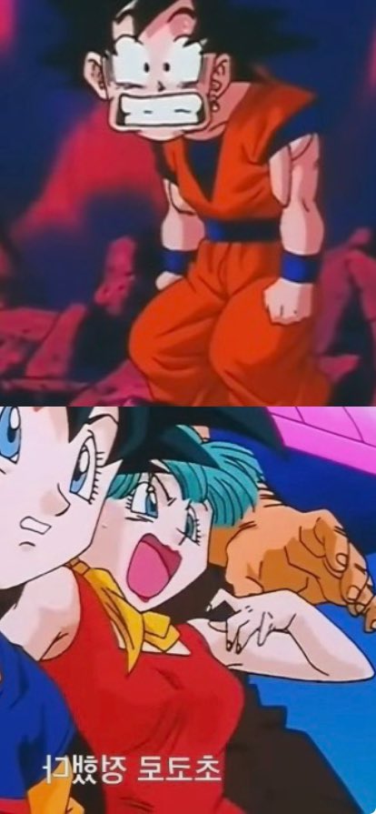 ドラゴンボールZ 孫悟空＆ブルマ（ブウ編）画像集（DVD版）