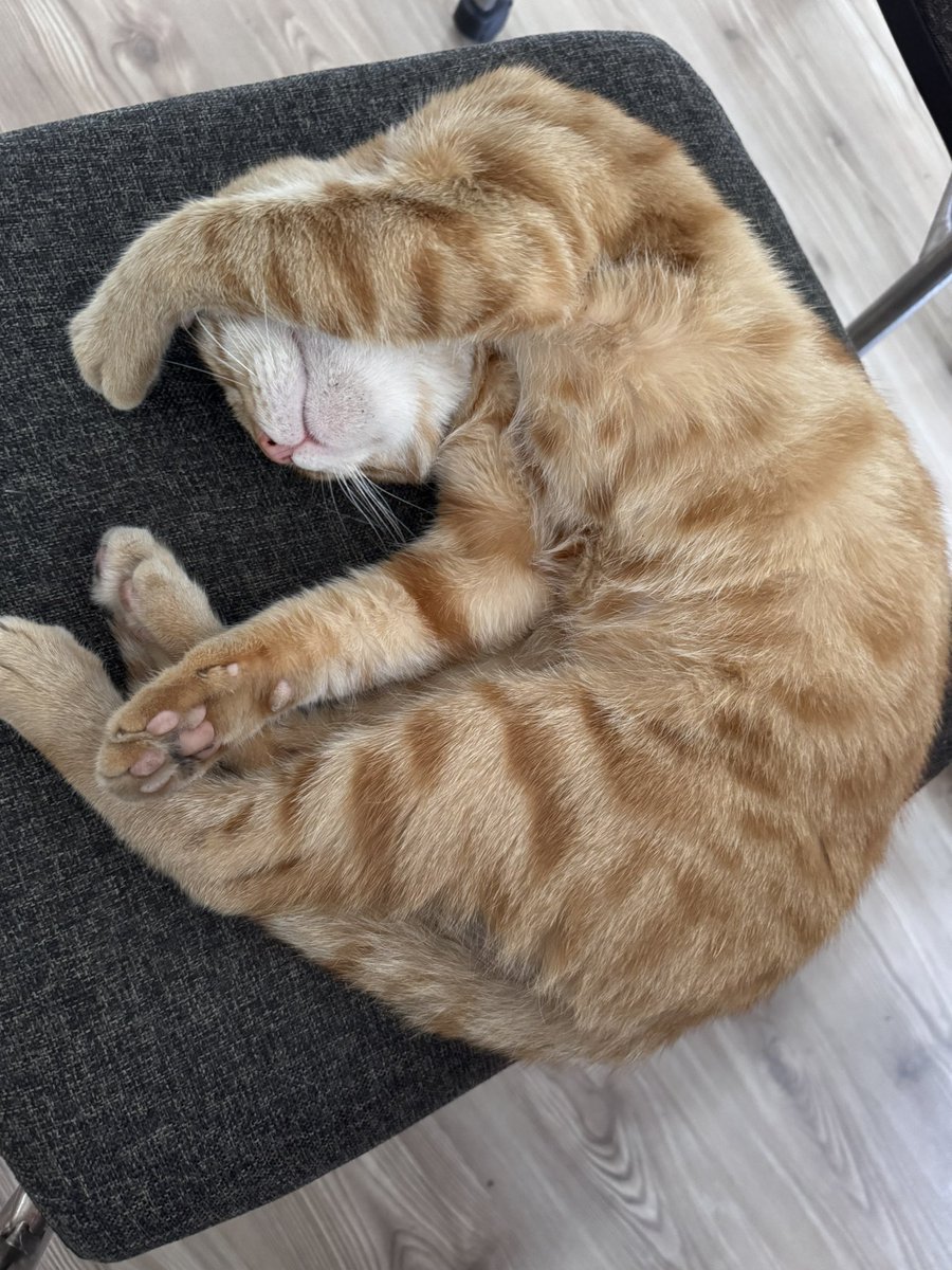 Çiğköfte dürümü vermedim diye kızdı.Ulan sen urfalı degilsin bu acı sevdasına bu da alıştı.Acı vermesem küsüyor böyle