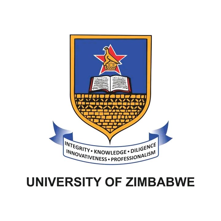 In terms of quality of learing which university can guarantee you better standards for masters programs
  🔄MSU             or                 ❤️UZ