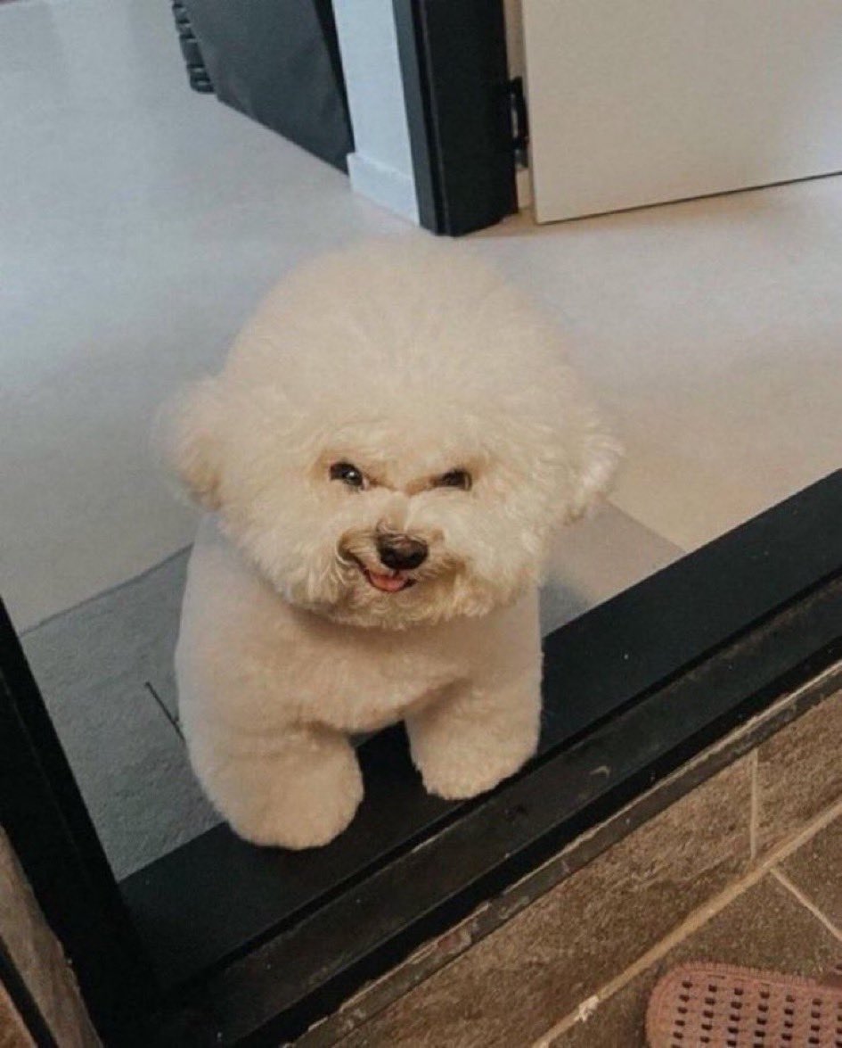 GaOrMWdW0AAjMnE.jpg
