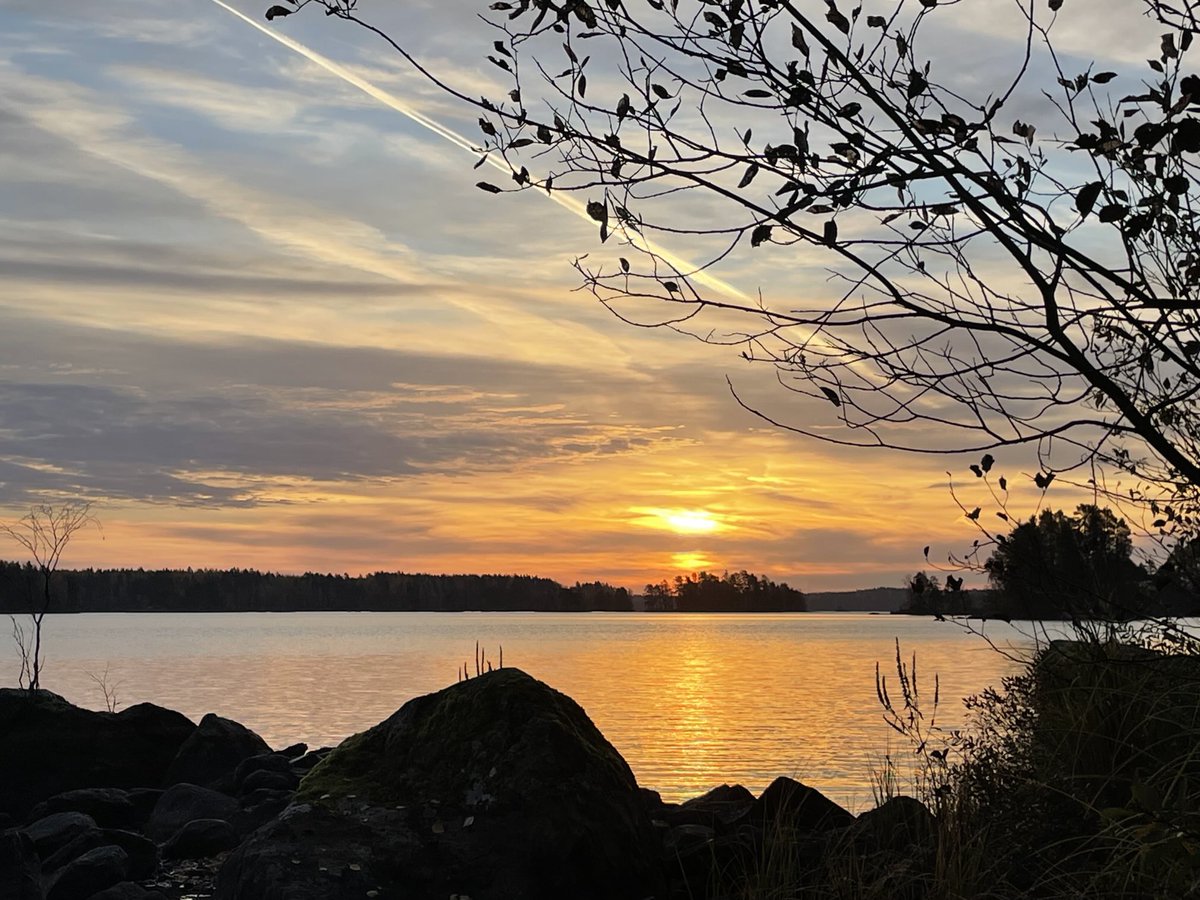 TomiSalo_Metsa's tweet photo. Huomenta. Lokakuu on hyvää aikaa pyytää rapuja talveksi. #ravustus #luonto #rapu https://t.co/jYcnrrmoin