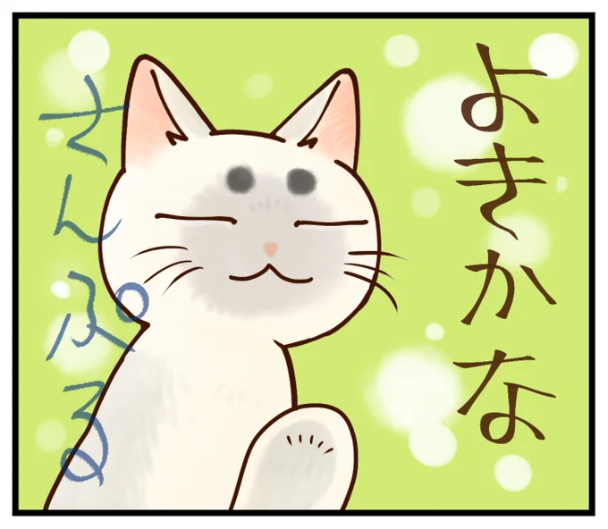 #今日の山野絵
10個目のLINEスタンプ(絵文字は2種類)申請しました🌟
ああ～何度やっても緊張する…
タイトルは「大体同意する猫スタンプ」です。
猫が大体同意してくれます。

来月は「年末年始スタンプ」を申請する予定です😊
(おととし挫折したのを発掘したので…) 